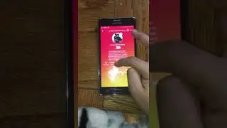 Free Musically Followers
