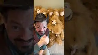 Monkeys From Silly Puppets Demo Part 3 