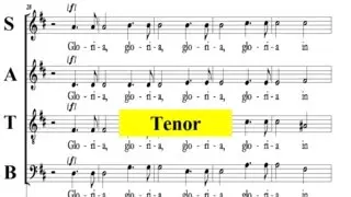 Vivaldi - Gloria - RV-589 -1 Gloria In Excelsis - Tenor