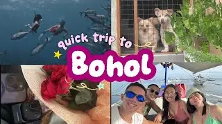 QUICK TRIP TO BOHOL | Ma. Rosalynn