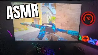CS2 POV Level 10 FACEIT Wingman ASMR | Keyboard & Mouse Sounds | 4K 60FPS
