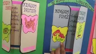 #Teacher Fest# |Innovative Chart on 5 Kingdom Classification|