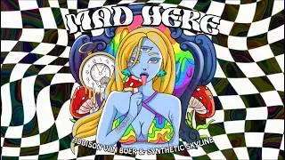 Addison Van Buer & Synthetic Skyline - Mad Here (Official Visualizer)