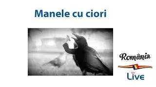 Manele cu ciori - manea cioară - ciori si manele