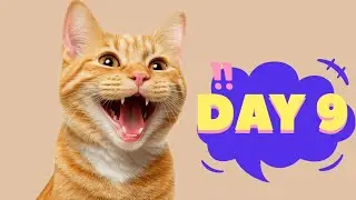 Day 9 of my challenge 💪#365dayschallenge #1million #life #cat #2026 