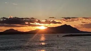 Miliscola 11/1/26