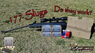 4.5mm. 177 slugs out of a 10+ year old break neck air rifle (ZAN Slugs are awesome)