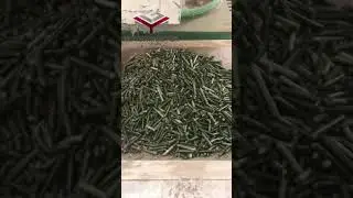Press Green Alfalfa into Pellets with Vertical ring Die Pellet Machine