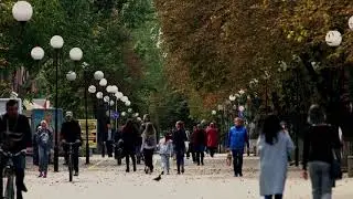 The Little Things: Why pedestrian Infrastructure matters.