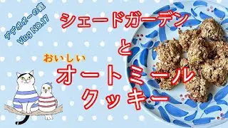 NO 17オートミールクッキーを作る/シェードガーデン/ゆる４抜きおやつ/シニアvlog/ブラムリーアップル入りオートミールクッキー