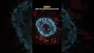 Nipah Virus Alert 💀🦠 #Shorts #Science #Biology #Virus #Earth