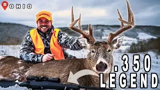 2020 OHIO GUN SEASON BUCK DOWN | .350 Legend