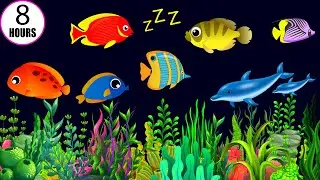 Sleep Instantly Within 3 Mins ♥ Mozart Brahms & Lullaby ♫ Lullaby for Babies to Go to Sleep Fast#252