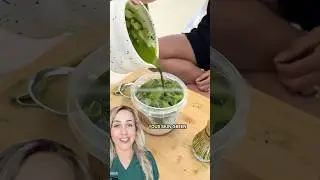 Can matcha change your skin color?!