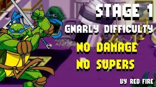 TMNT: Shredder's Revenge - Stage 1 No Damage / No Supers [Gnarly] - Leonardo