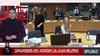 ევროპარლამენტის ვიცე-პრეზიდენტი კაია კალასის წინააღმდეგ