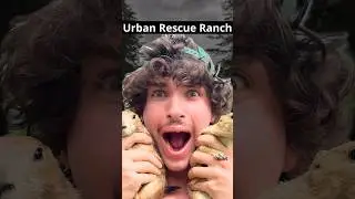 🔥5 Interesting Facts about Ben Christie (The Urban Rescue Ranch)