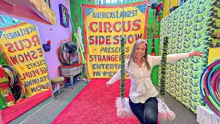 Artist's Mind Blowing Home in Colorado Springs