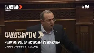 Դուք մերժել եք Հայաստանի քաղաքացուն. Արծվիկ Մինասյան