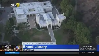 Look At This: Brand Library