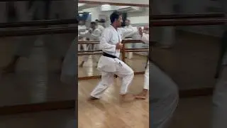 Tame, Nuki e Kime - Explicando Conceitos - Instrutor Paulo Pestana #karate #shotokan #jka