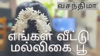 Malli poo chedi | மல்லி பூ | jaathi malli | UK Tamil Vlog | Vasanthima