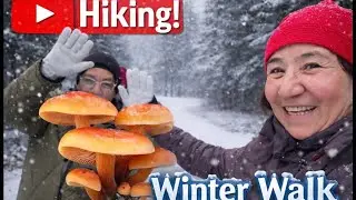 Almanya’da kar ❄️ kış 🥶 #mushroom #viralvideo #samtfußrübling #viralvideo #nature #mantaravı 