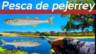 Pesca de Pejerreyes con mi Pap&aacute; 🎣 | Laguna Los Molles &ndash; Quinta Regi&oacute;n