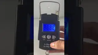 luggage weight scale