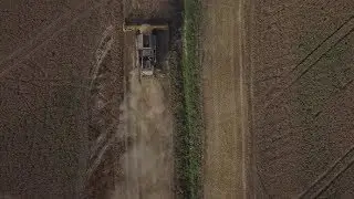 Combine Harvester Wheat Harvest Overhead Drone | Stock Footage - Videohive