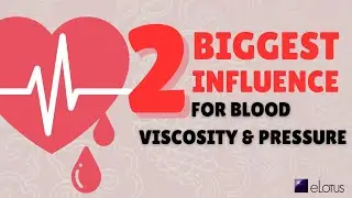 🩸 The 2 BIGGEST Influences for Blood Viscosity & Blood Pressure