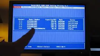 Create a RAID array with the RAID cards BIOS