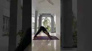 Yoga Is just more than Exercise. It&rsquo;s the Regulation.
