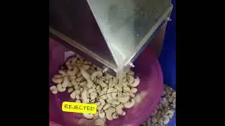 Meyer 120KF Cashew Color Sorter Machine by NICPL II Your Sorting Solution II NICPL