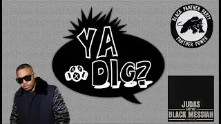 Black Power Before Hip Hop and Nas' Hip Hop Legacy (Ya Dig? Season 2)