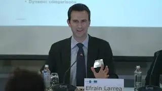 Efrain Larrea:  European and macro-regional territorial monitoring tool