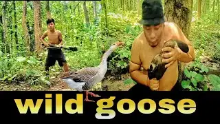 Hunting wild duck and cooking in the forest@jungleeatingshow2664