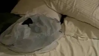 Kake in a Bag