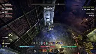 Tacoholics Necrotic Hoarvor Triesssss