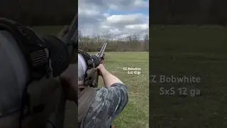 CZ bobwhite side by side in 12 gauge