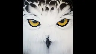 Acrylic art Snow owl