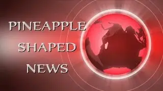 PSNews Season 5 Finale - TOP 5 DUMBEST CRIMINALS!