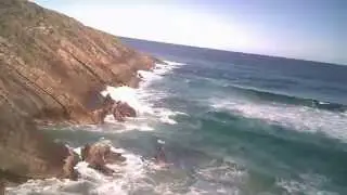 Elizabeth Beach Trip