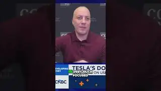 Tesla Safety: 5 Stars vs. Federal Probe - What's the Real Story? #shorts