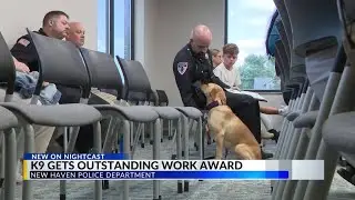 New Haven Police Department K-9 unit awarded for locating missing child