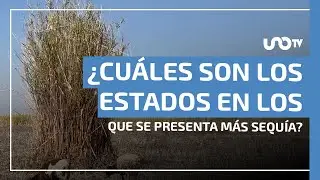 Sequ&iacute;a en M&eacute;xico: municipios afectados y estados con condiciones extremas