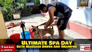 Ultimate Spa Day : Bath Massage Brush And Shampoo