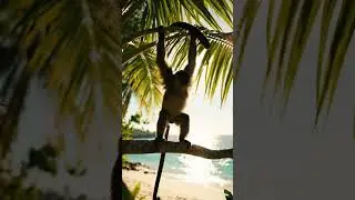 Cute baby monkey  #funny #monkeysr #motherandbaby #animallife #motherandchild #cute