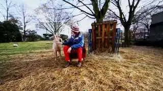 Collectif Medz Bazar - Kokore&ccedil; (2014)