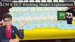 Easy LCM & HCF Working Model for School Project | Maths Made Simple #mrbri8 #education